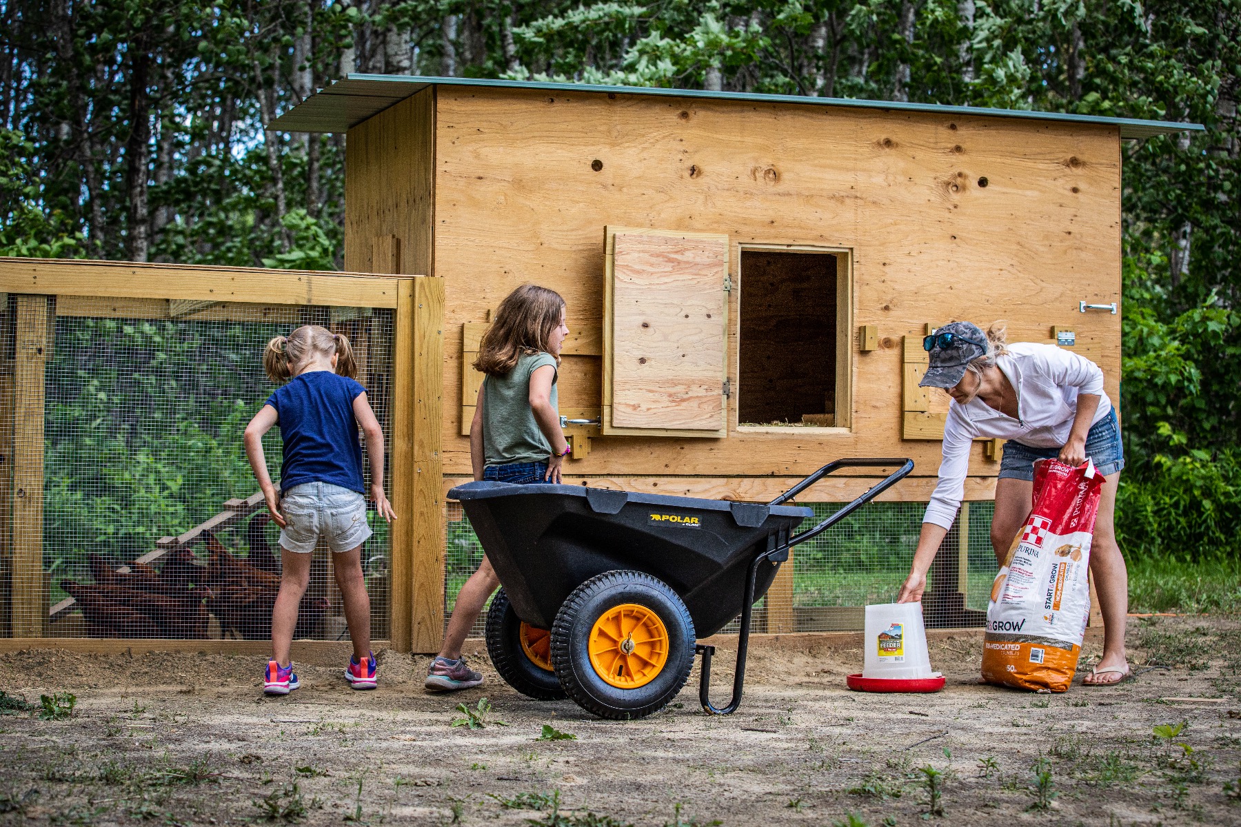 Cub Cart