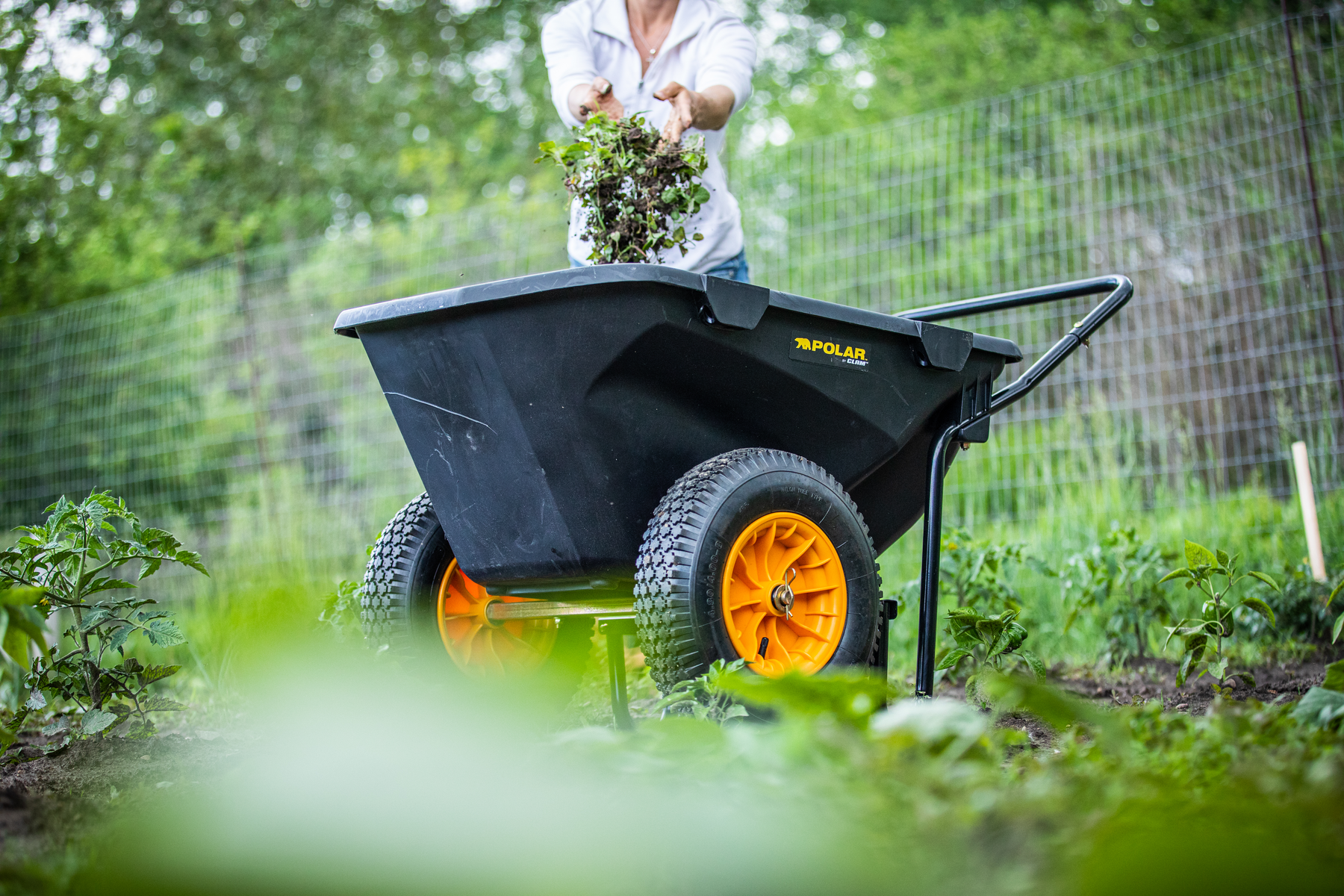 Cub Cart