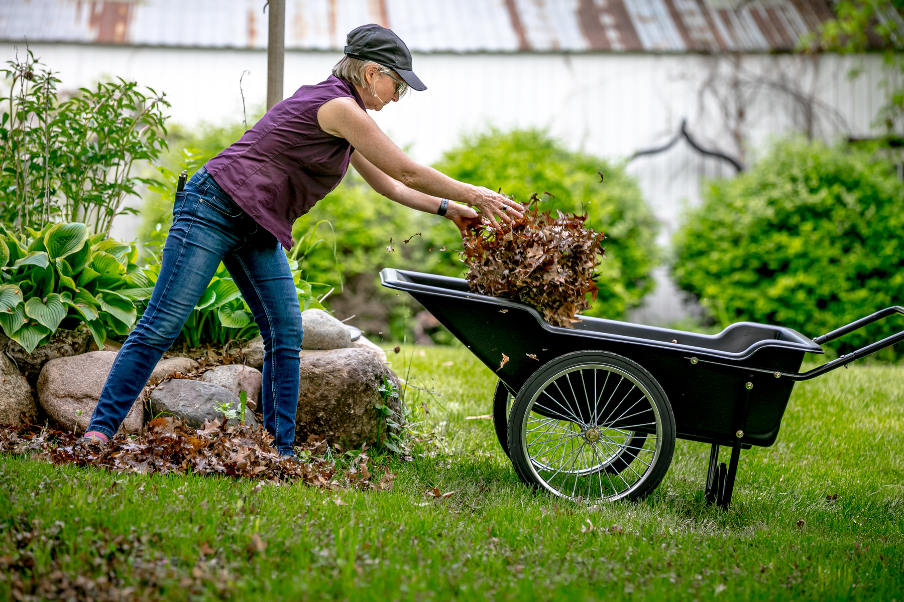 Utility Cart