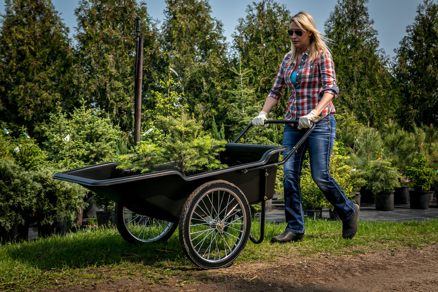 Utility Cart